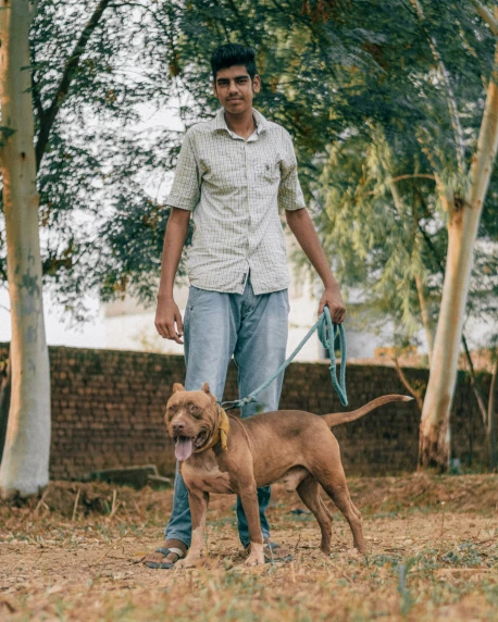 a man that is walking a brown dog