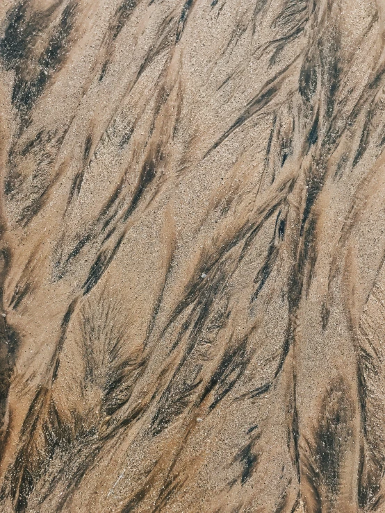 an abstract image of sand and the beach from a sand plane