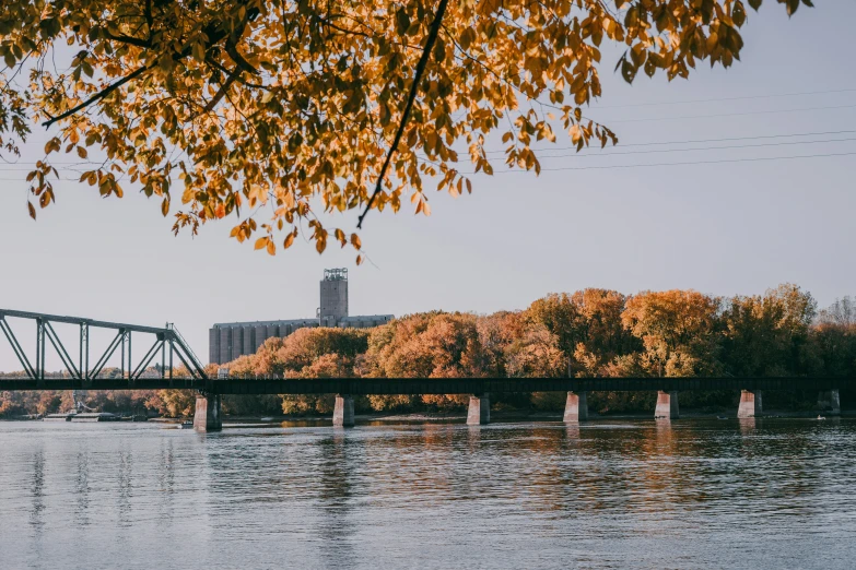 a bridge across a river next to a city