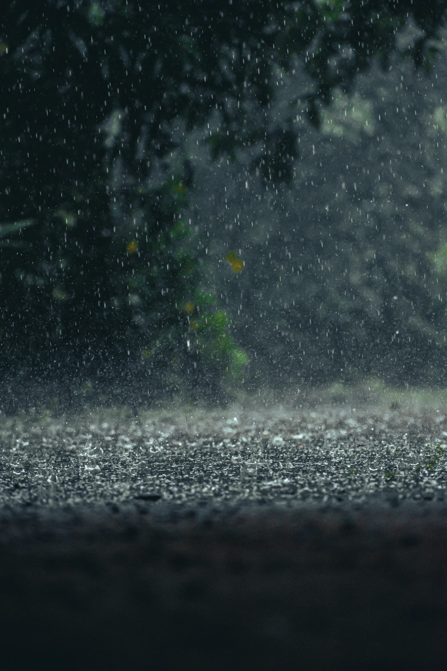 a fire hydrant is in the rain near some trees