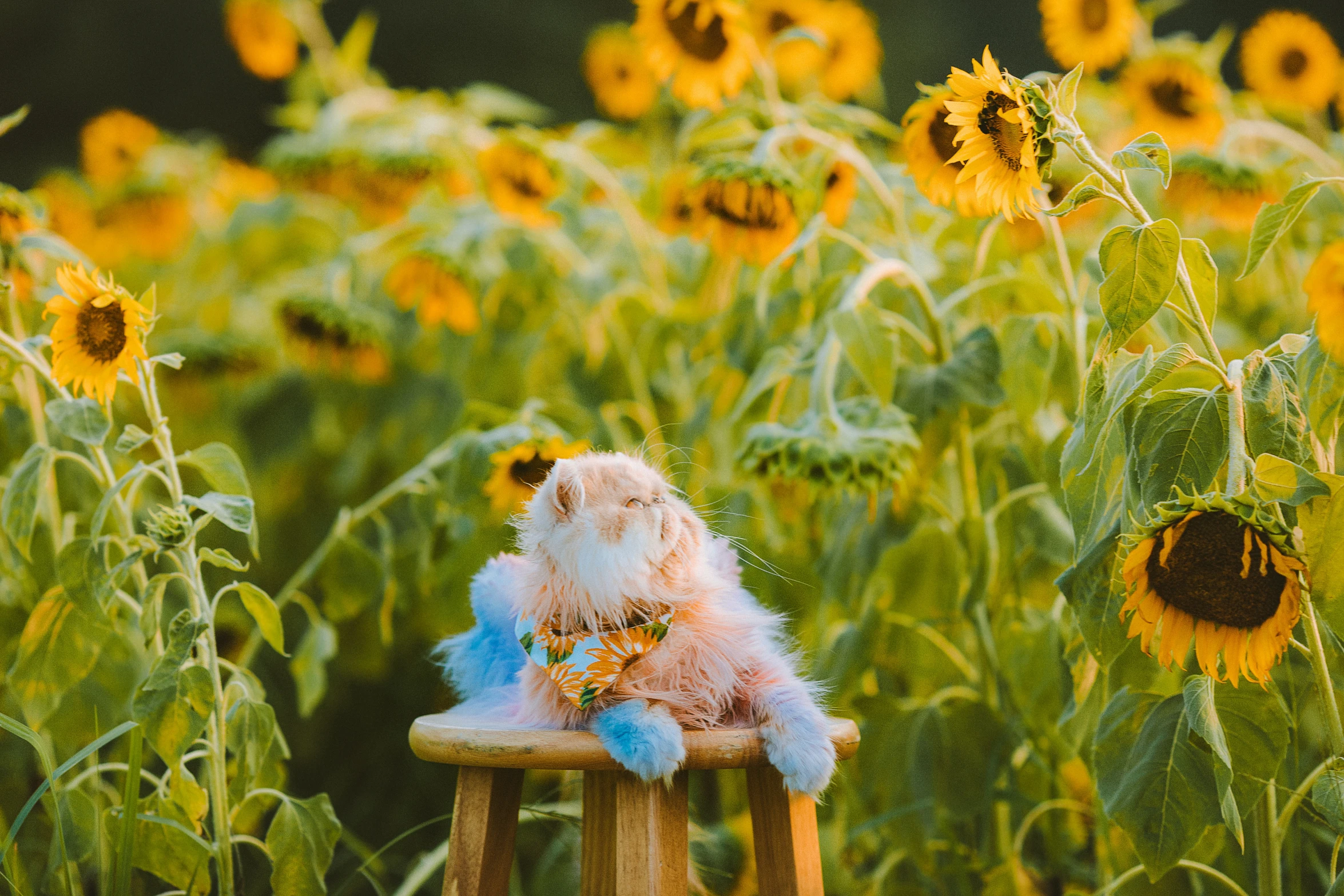 a toy bird sitting on a chair with sunflowers in the background