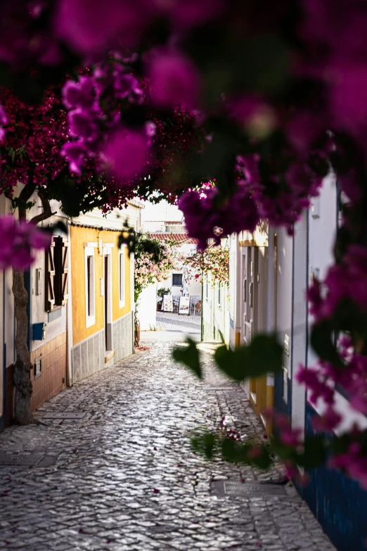 an alley with a stone path, brick walkway, a street lamp and flowers