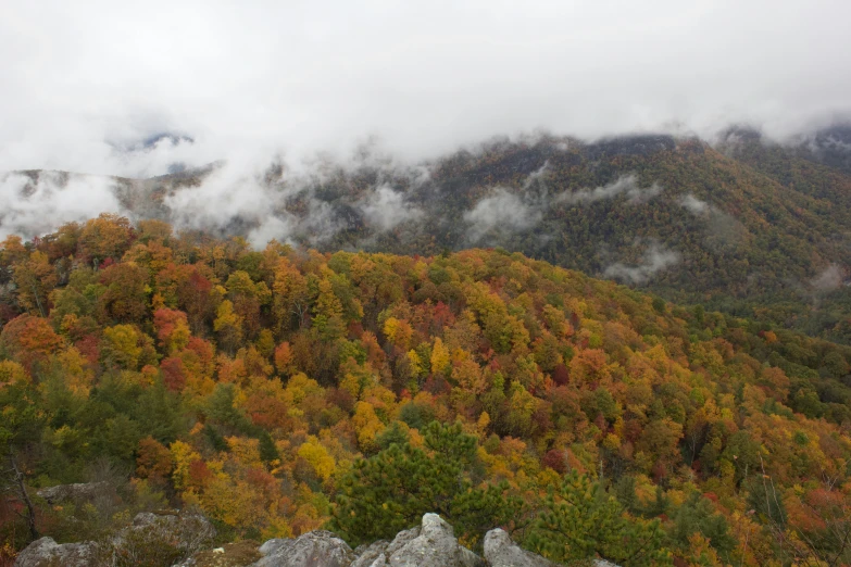 the autumn leaves and rocky slopes in the mountains