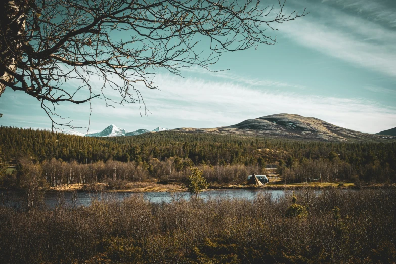 a tree leaning over in the foreground is a mountain and a lake with a hut and cabin below