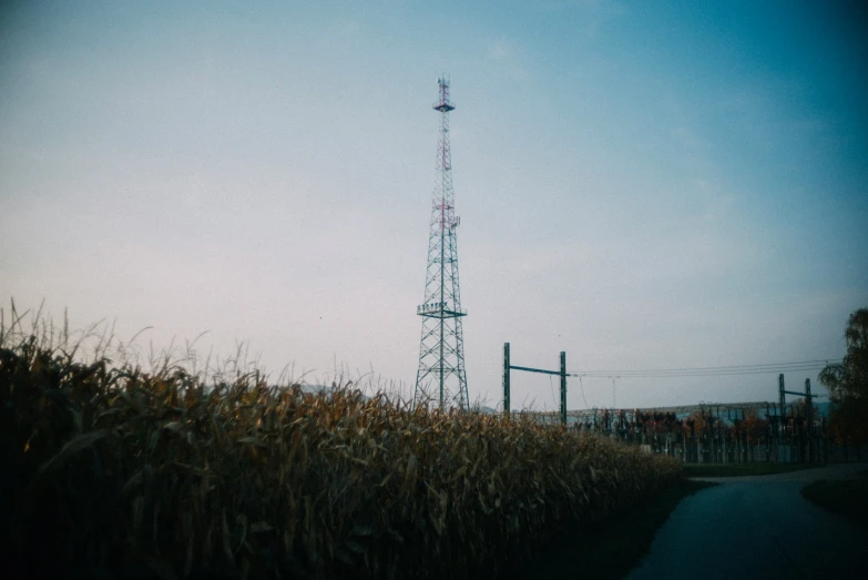 a tower is in the middle of the tall grass