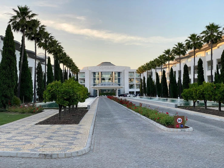 there is an empty driveway surrounded by palm trees