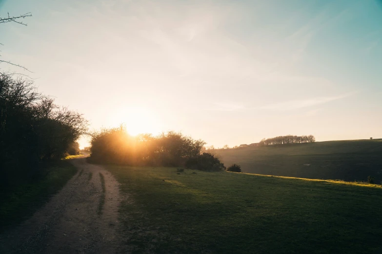 a path goes through a grassy field at sunset