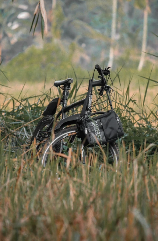 two bicycles are lying in tall grass