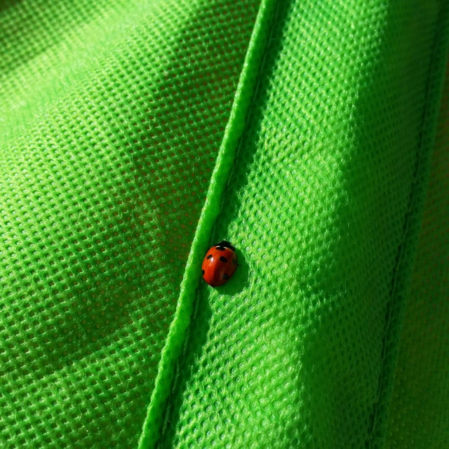 the red ladybug is crawling on the green cloth