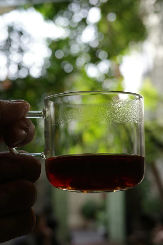 a person holding a glass of red wine in their hand