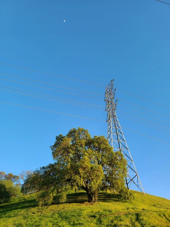 a cell tower near a tree and power lines