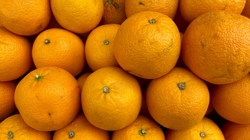 a large stack of oranges that are all lined up