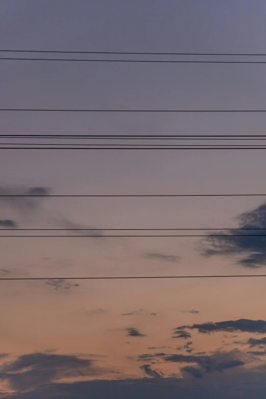 birds fly through the sky at sunset