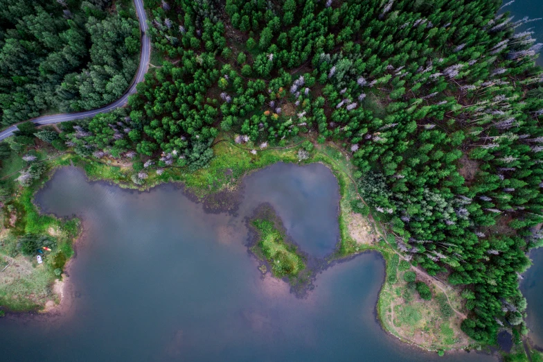 an aerial view of some trees and water