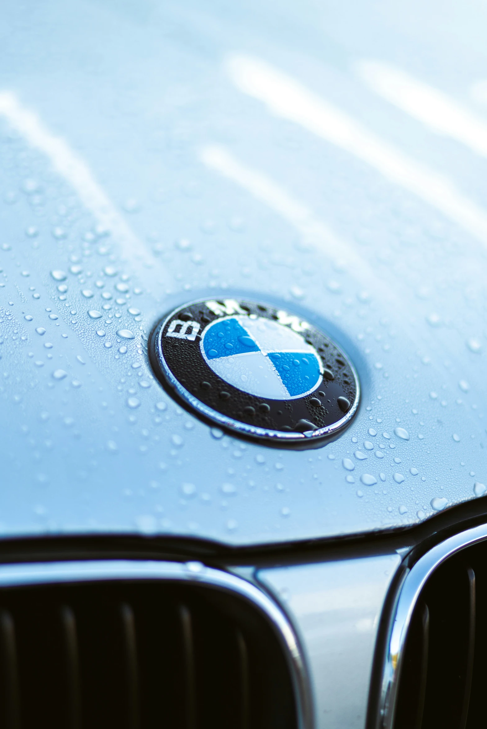 an image of a blue bmw emblem on the hood