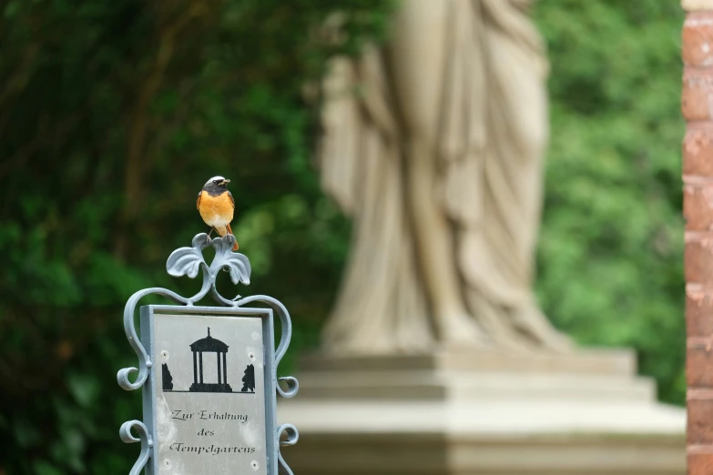 a little bird is perched on the back of a statue