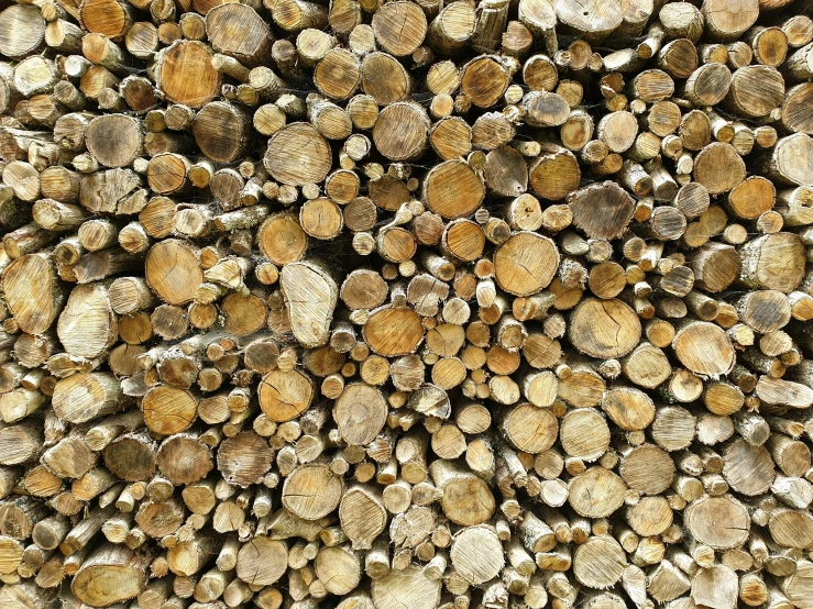 a cluster of logs are stacked on top