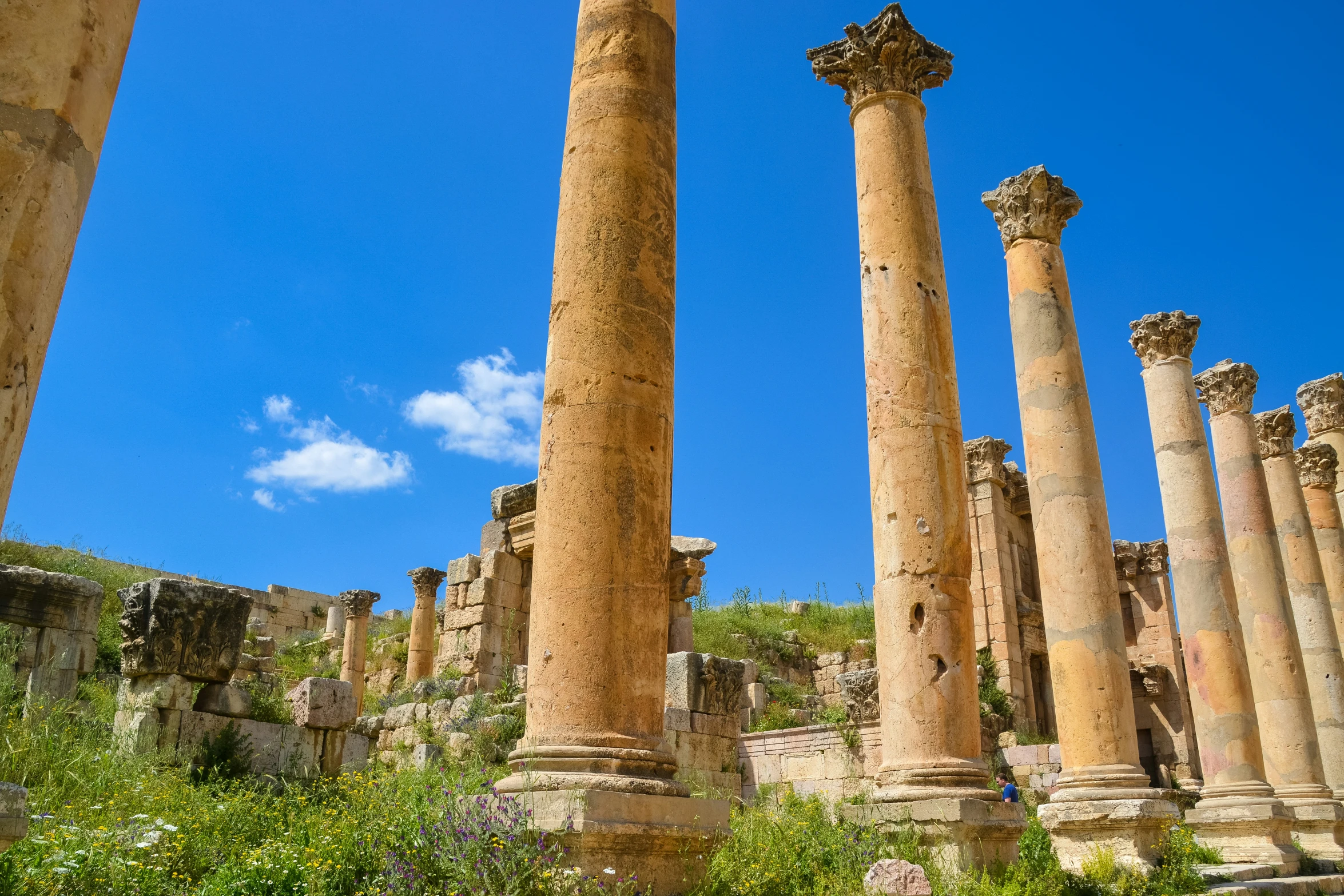 four stone columns and green vegetation stand in an ancient greek landscape