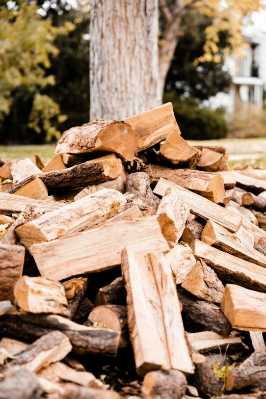 a pile of cut up wood in front of a house