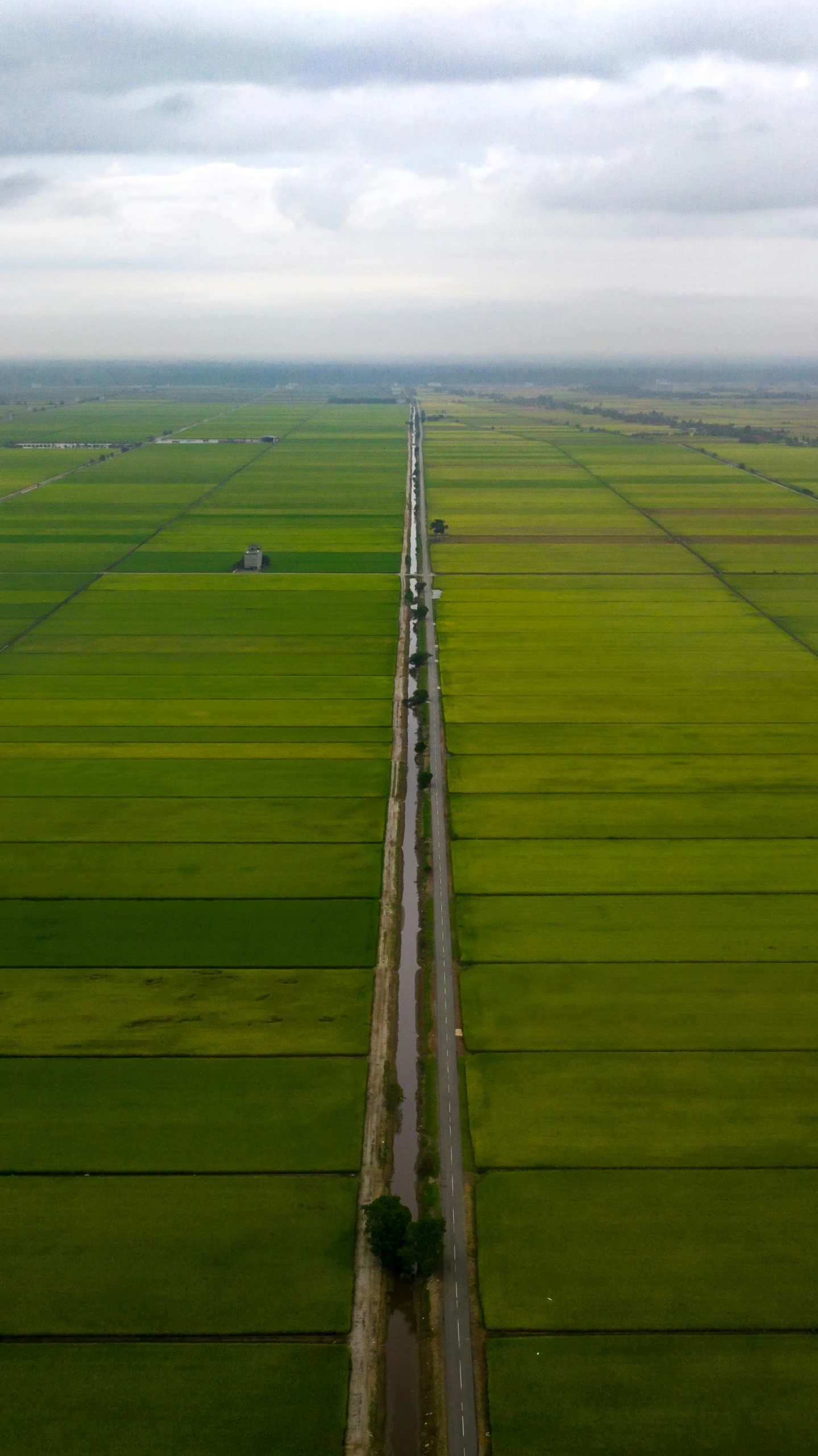 this is a country road through a field