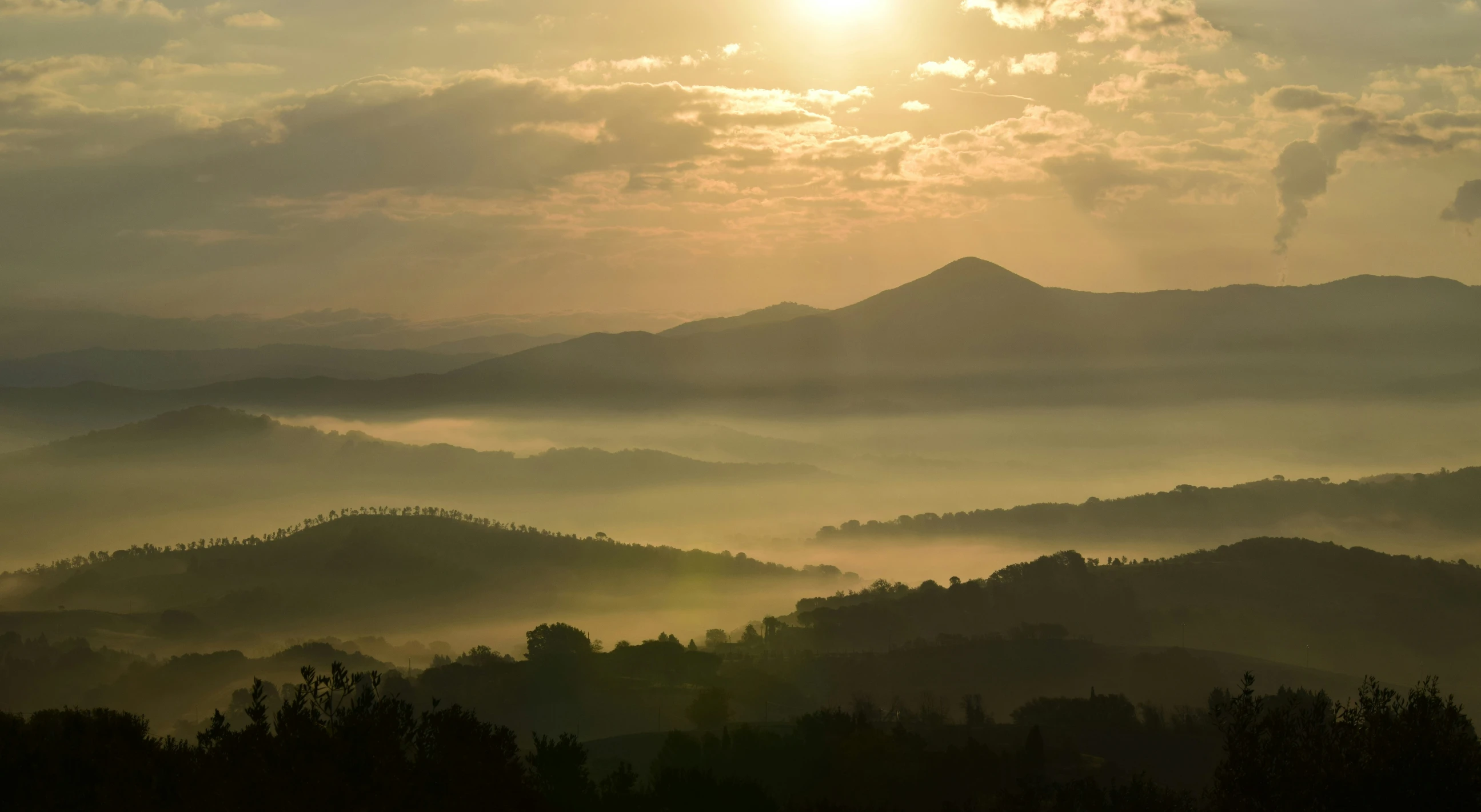 a hill covered in trees with the sun setting behind them