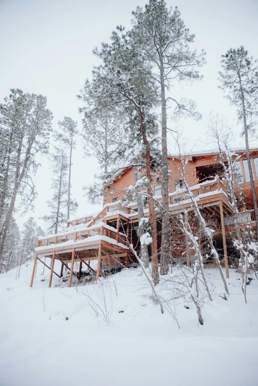 the trees are covered with snow next to the cabin