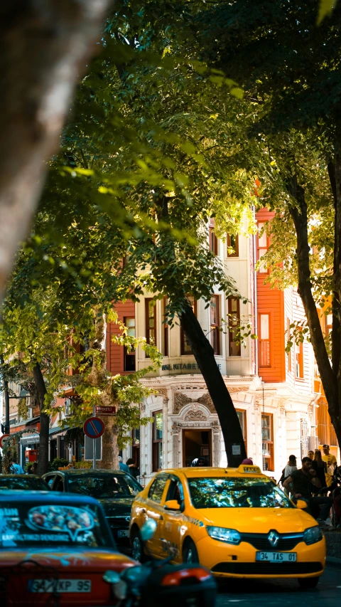 a city street filled with lots of traffic under tall trees