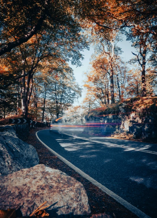 a curved road with lots of fall colored trees