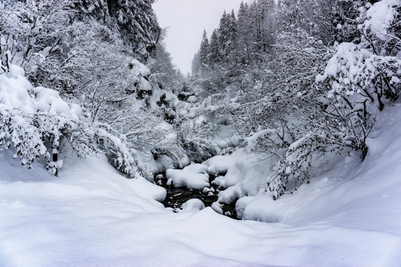 the snow is on the ground and has been partially covered