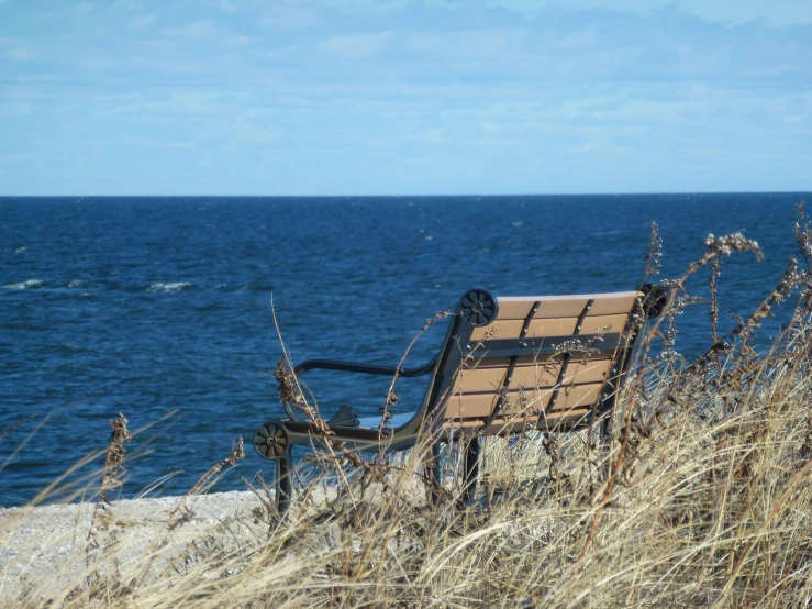 an old bench is surrounded by weeds overlooking the ocean