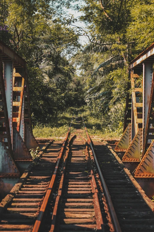 there are old railroad tracks going through the woods