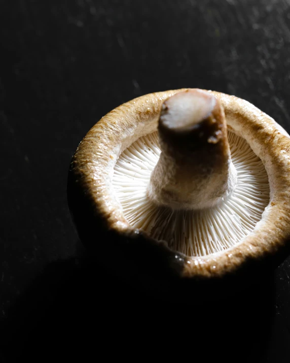 the white fruit is attached to a large piece of food