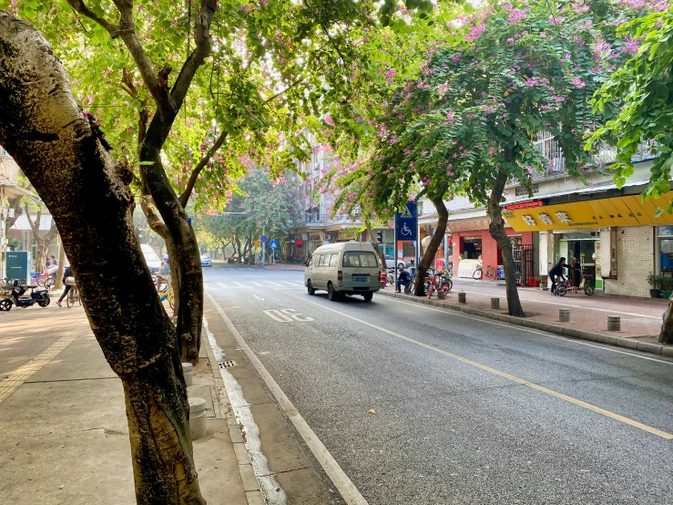 a van is parked on a quiet street with a small tree