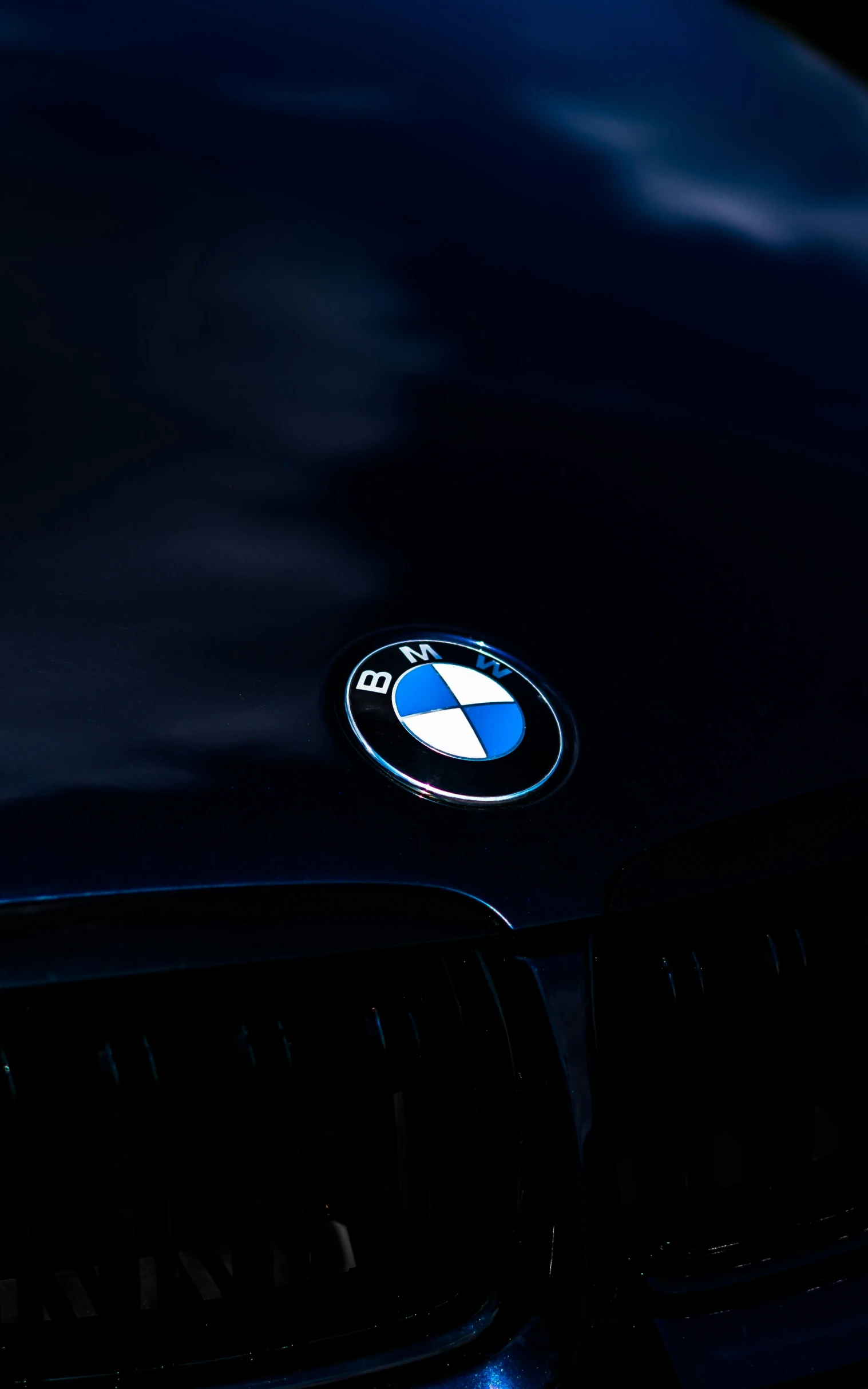 bmw badge on a car close up