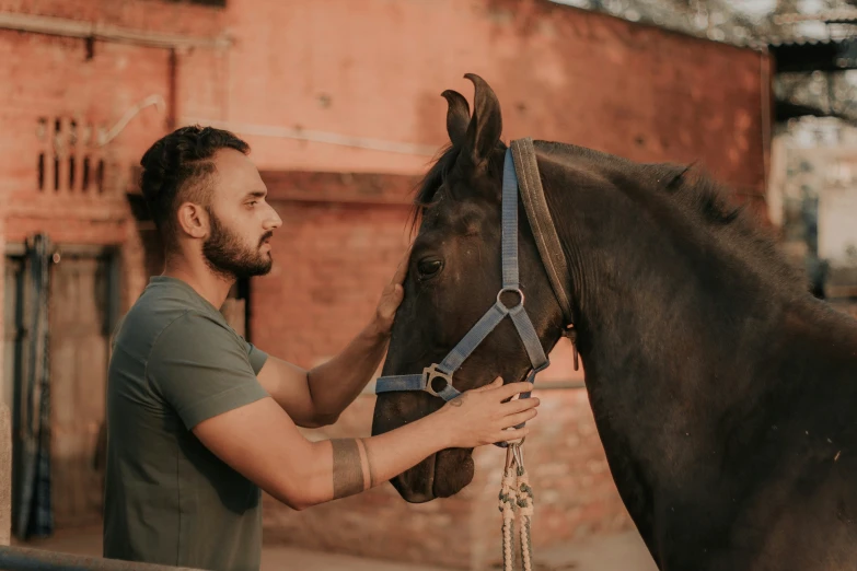 a man holding the nose of a horse