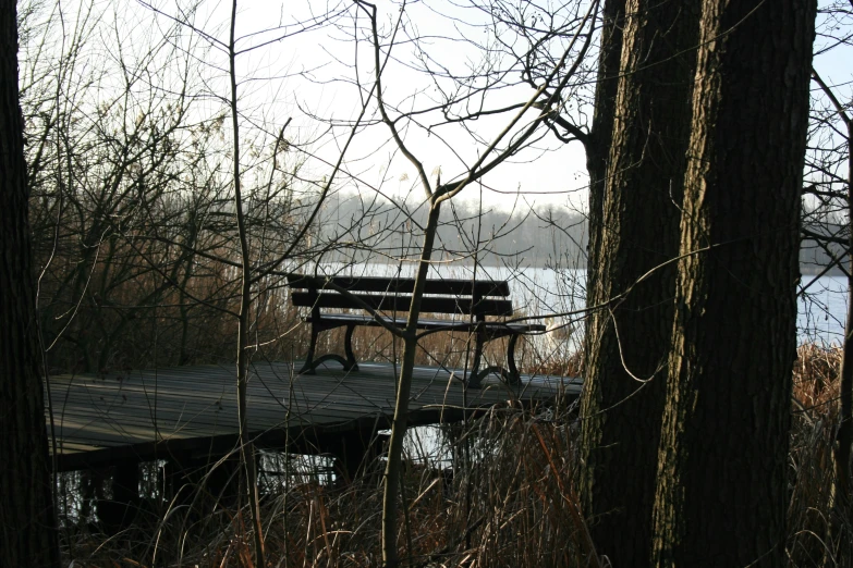 bench overlooking water in a park near trees