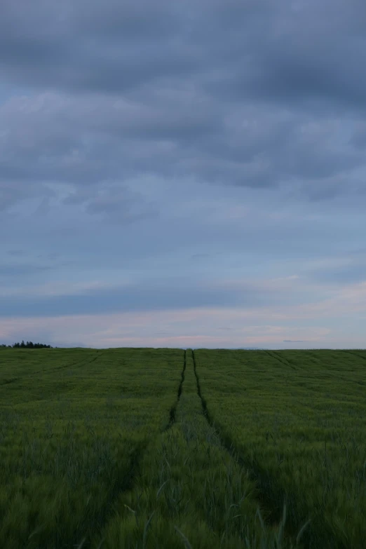 the empty road is going along the field