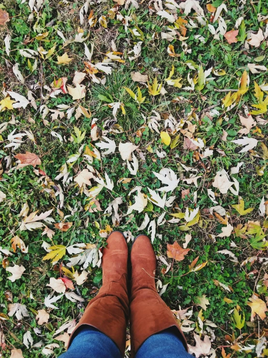 a person wearing blue jeans and brown shoes standing in leaves on the ground