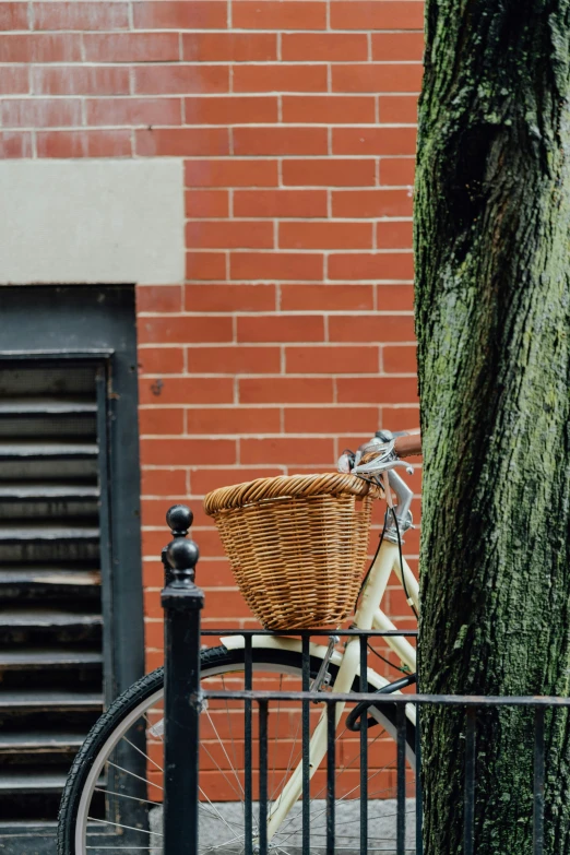 a close up of a bicycle parked near a tree