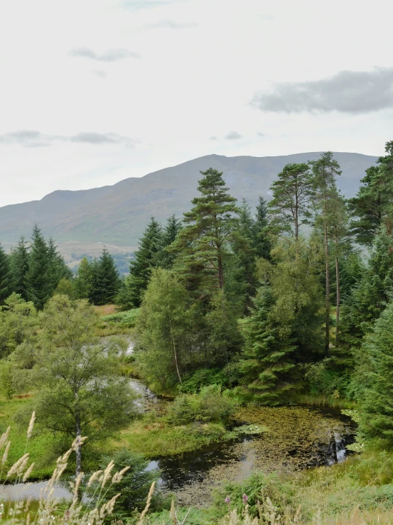 a stream is running down a mountain side