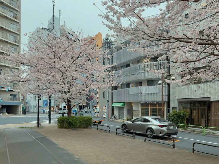 the car is parked on the road between the buildings