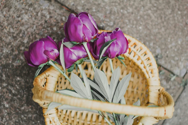 a small wicker basket holds purple flowers