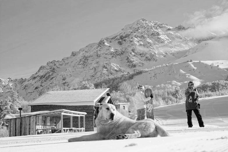 a bear lies in the snow next to some people and a ski lodge