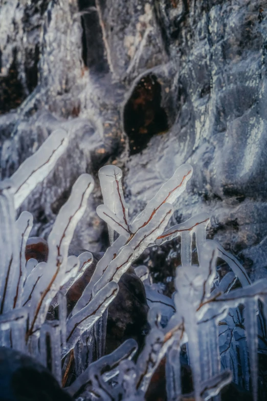 the inside view of ice crystals and water