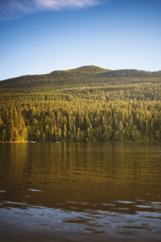 large tree covered hill rising over a body of water