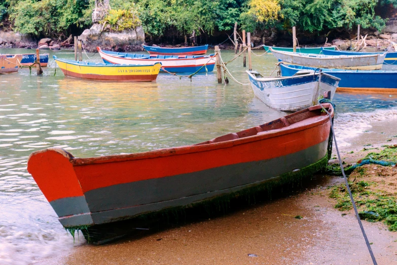 colorful boats in the water along a shore line