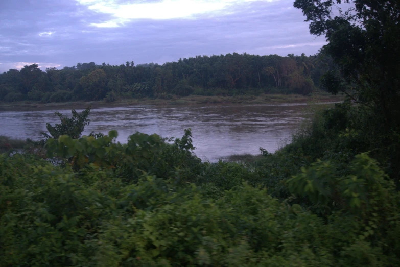 an image of some water and trees that are not very calm