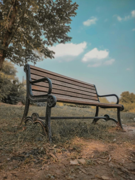 a bench sitting in the grass in front of some trees