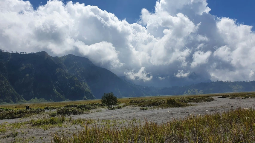 an outdoor area with mountains, a dirt road and some trees