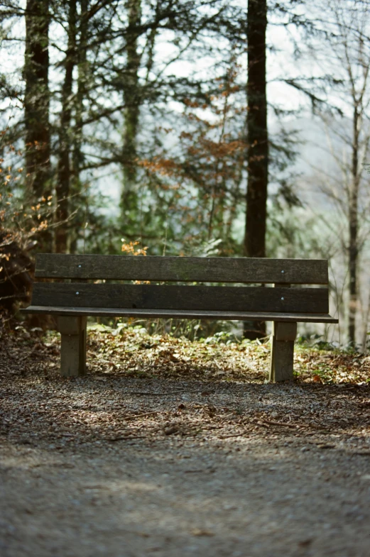 a bench sits outside near the trees